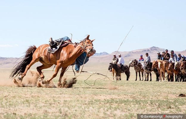 A man leans down to do tricks while riding a brown horse outside. A group of people on horseback look on in the background.