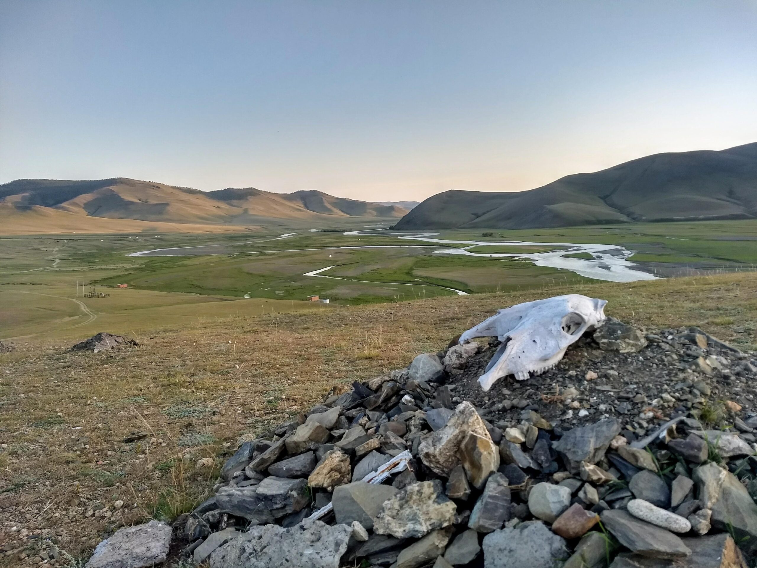 A panoramic photo depicting a pile of rocks with a horse skull on top in the foreground and the green Mongolian steppe in the background.