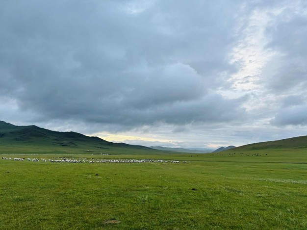 A picture of the rolling green steppe in Mongolia with gray and white clouds in the sky