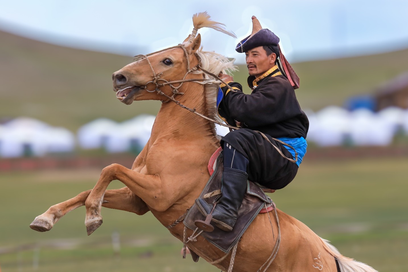 A photograph of a Mongolian man in tradition dress sitting astride a horse that is rearing up on its two hind legs.