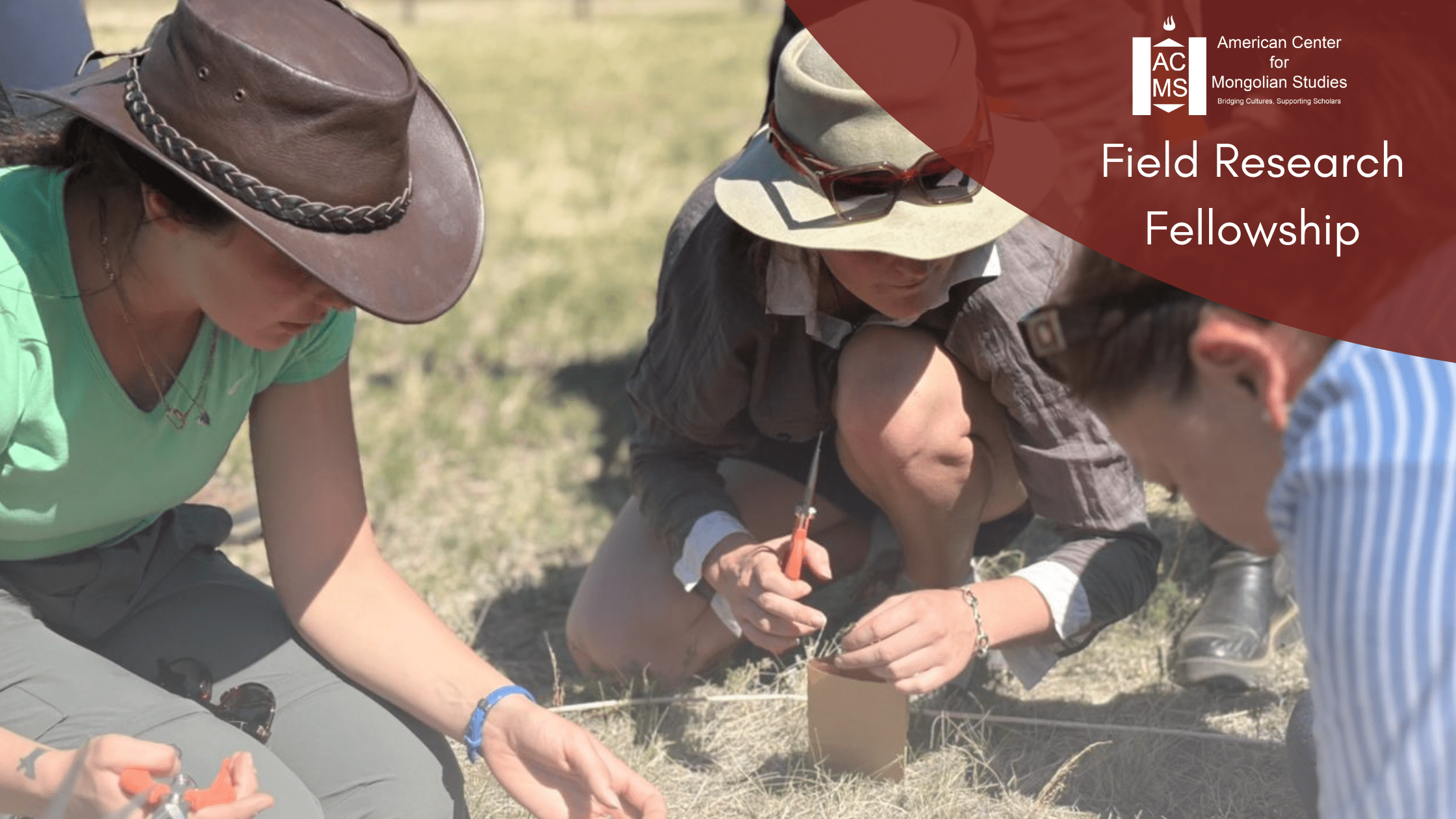 Copy of ACMS Field Research Fellowship - No Application Info