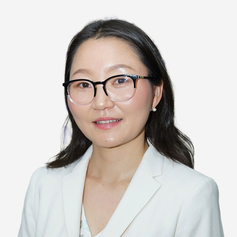 Tsermaa-Nyamdavaa v2 SQ800